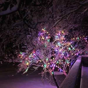 Meet your Posher, Kristine